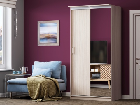 Шкаф-Купе Альянс (Ш-1000/1500/2000 х Г-600 х В-2200 мм)/Разные Цвета